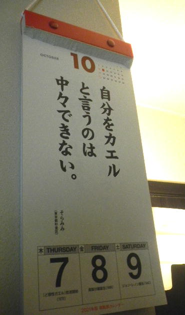 DSCN3126