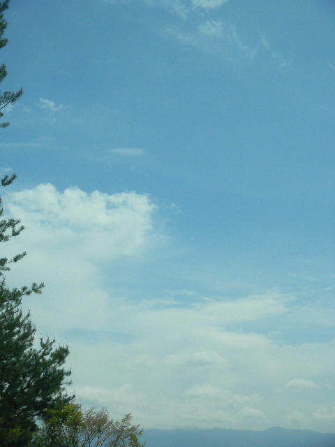 DSCN8774