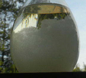DSCN0858