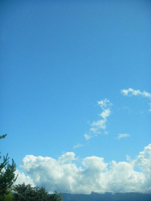 DSCN8214
