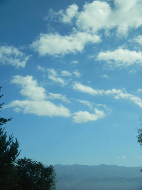 DSCN8368