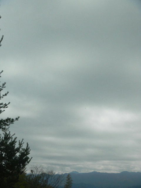 DSCN8866
