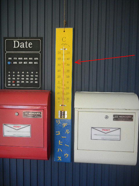DSCN9049