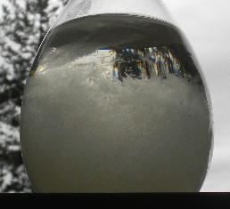 DSCN0559