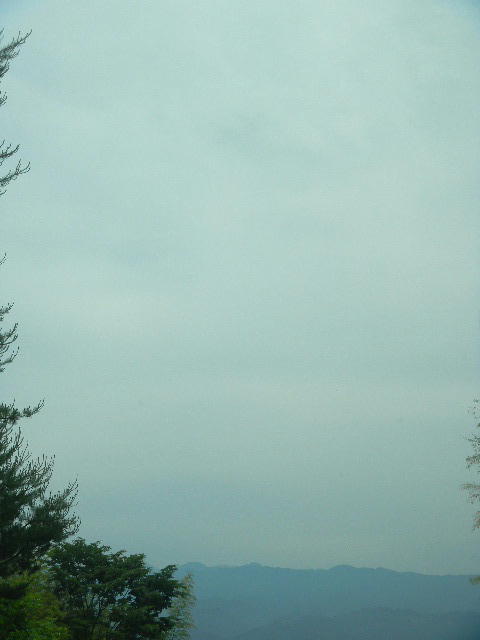 DSCN9119