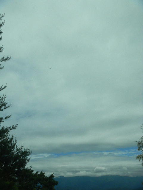 DSCN8878