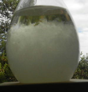 DSCN0323