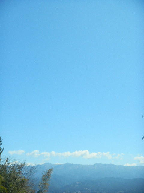 DSCN8795