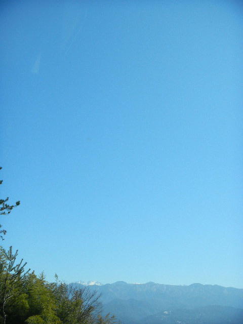 DSCN4377