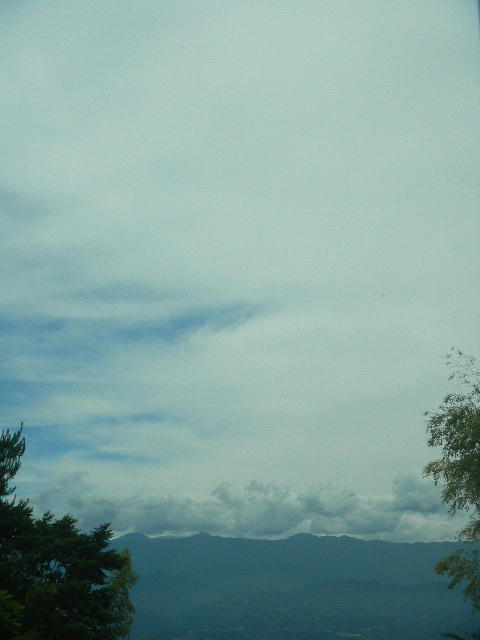 DSCN8940