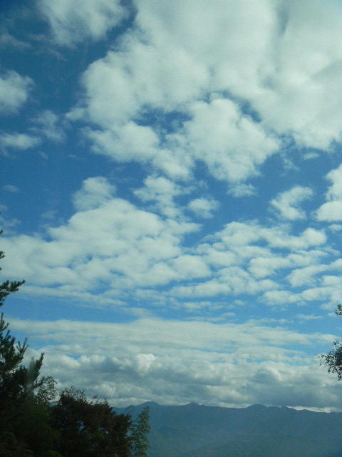 DSCN6876