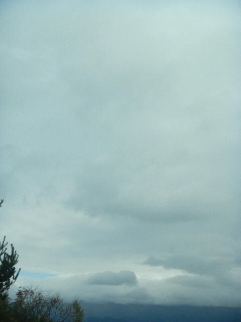 DSCN8466