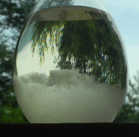 DSCN3098