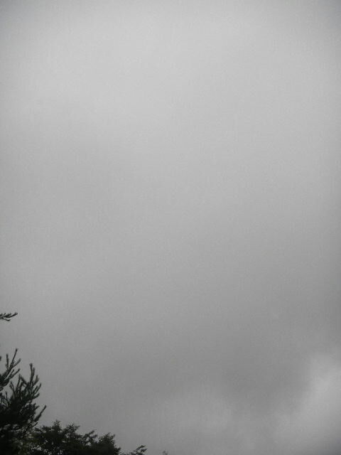 DSCN8127