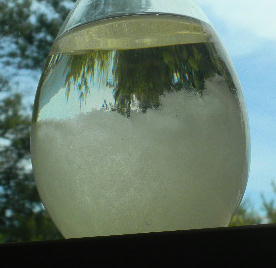 DSCN1091