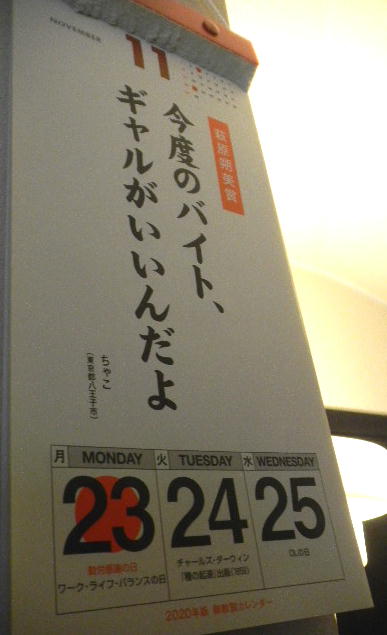 DSCN0313