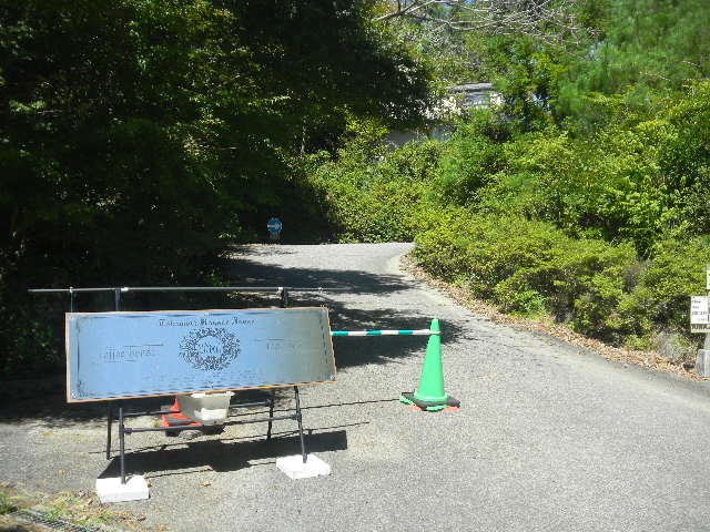 DSCN8179