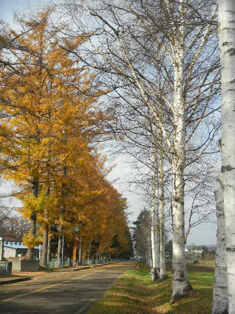 DSCN0025