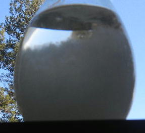 DSCN0449