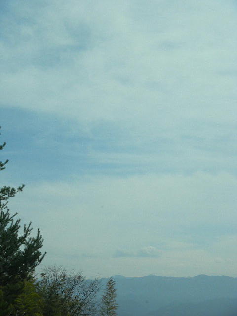 DSCN8845