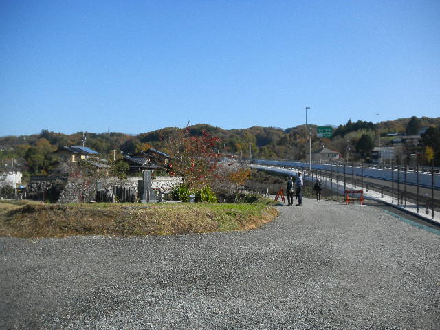DSCN0503