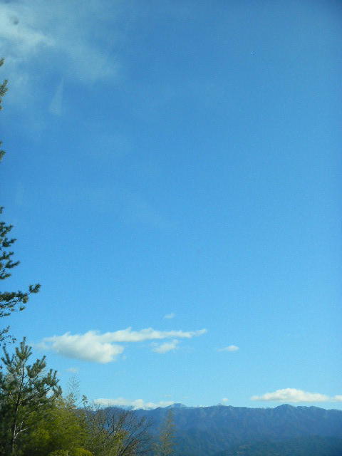 DSCN5508