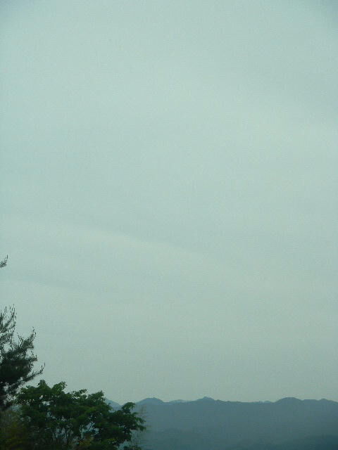 DSCN9040