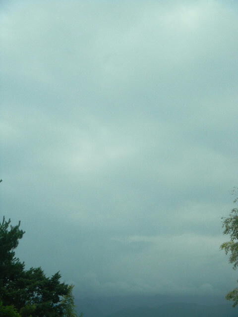DSCN9036