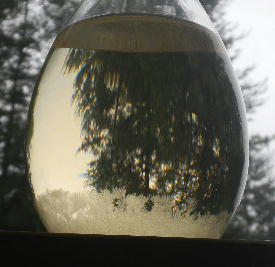 DSCN9203