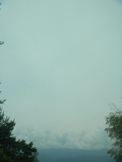 DSCN8991