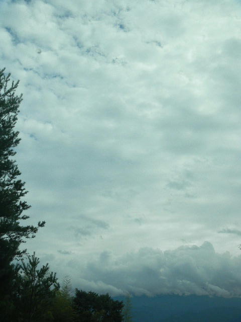 DSCN5159
