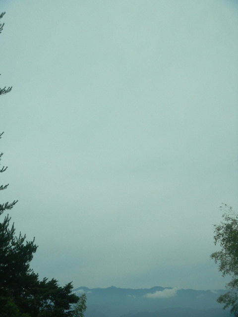 DSCN9016