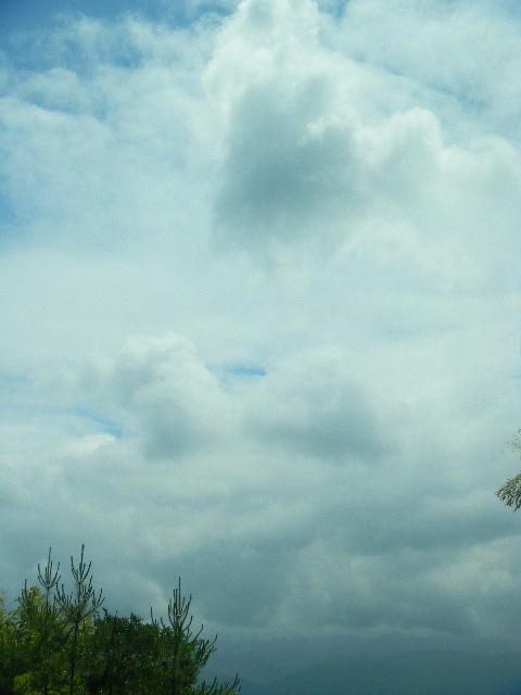 DSCN9684