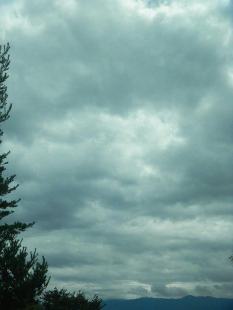 DSCN8146