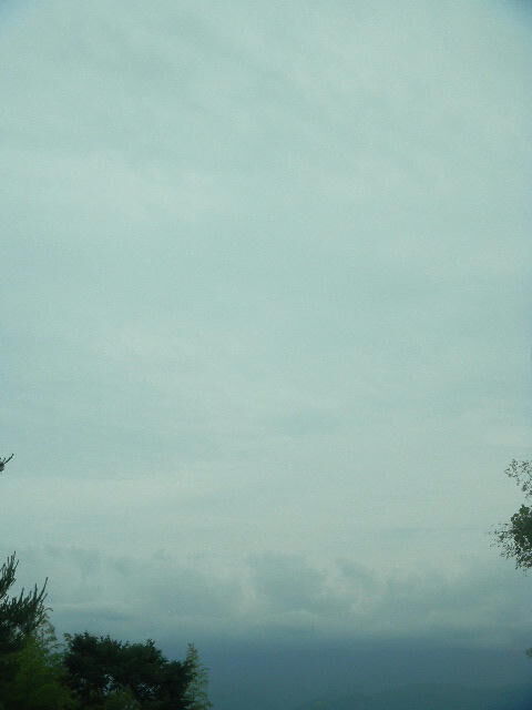 DSCN6247