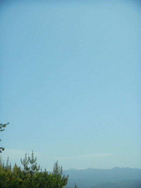 DSCN1141