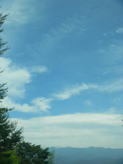 DSCN9135