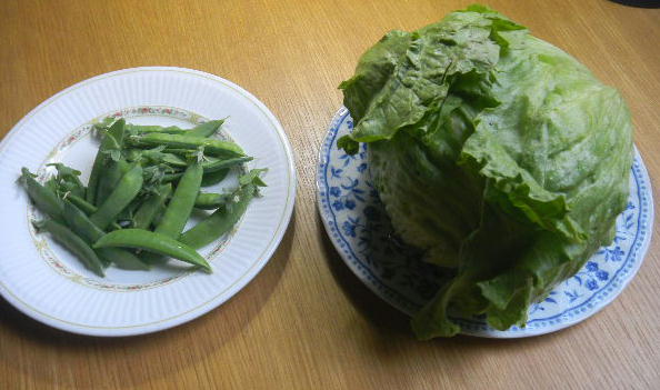 DSCN8794