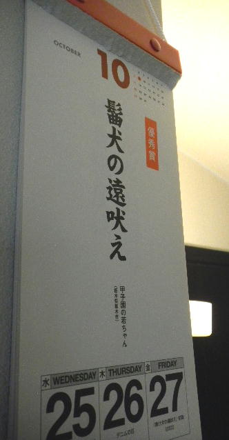 イメージ 4