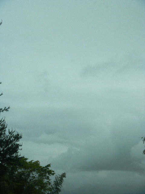 DSCN8788