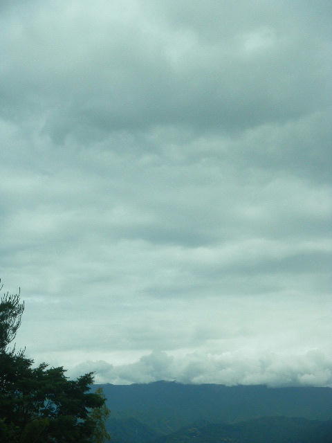 DSCN8900
