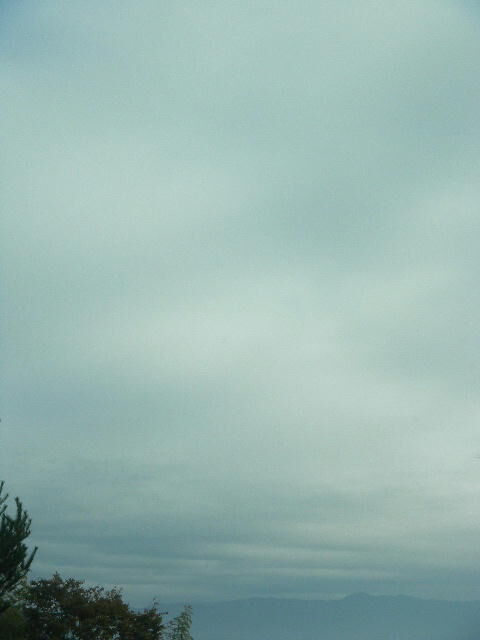 DSCN8398
