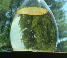 DSCN9024