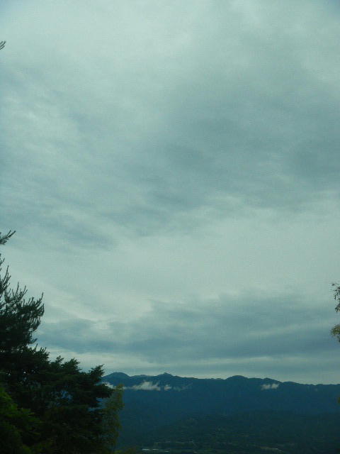 DSCN8956