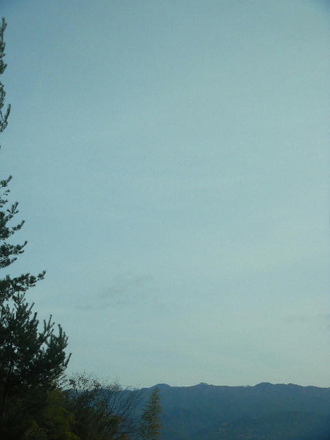 DSCN8506