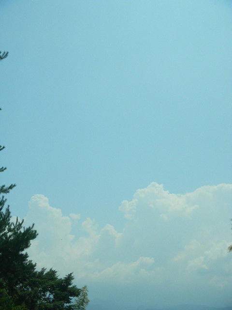 DSCN9095