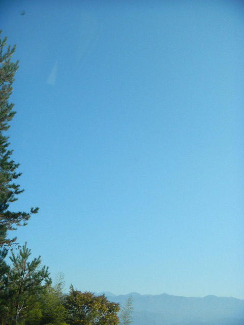DSCN5353