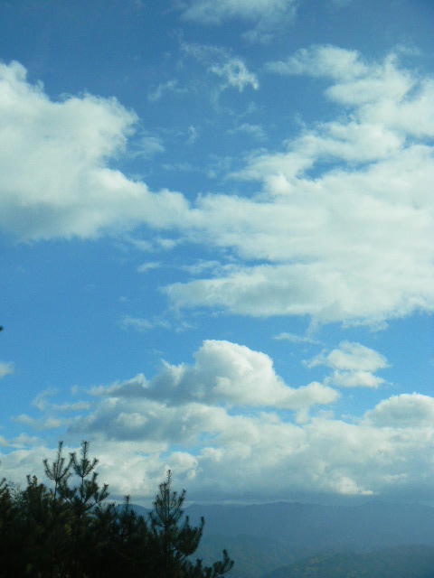 DSCN0481