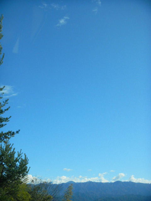 DSCN8505