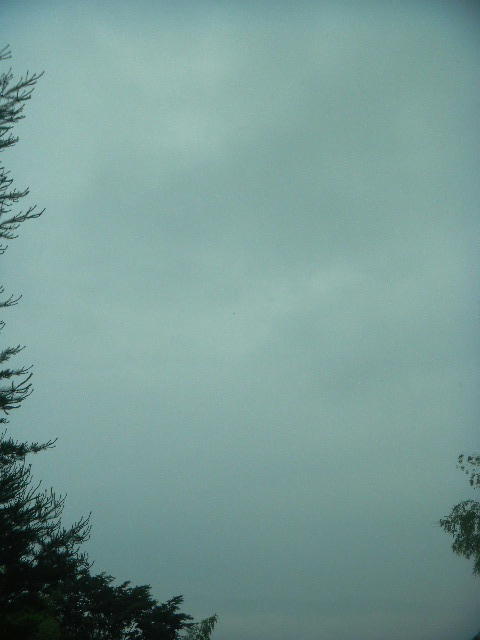 DSCN9202